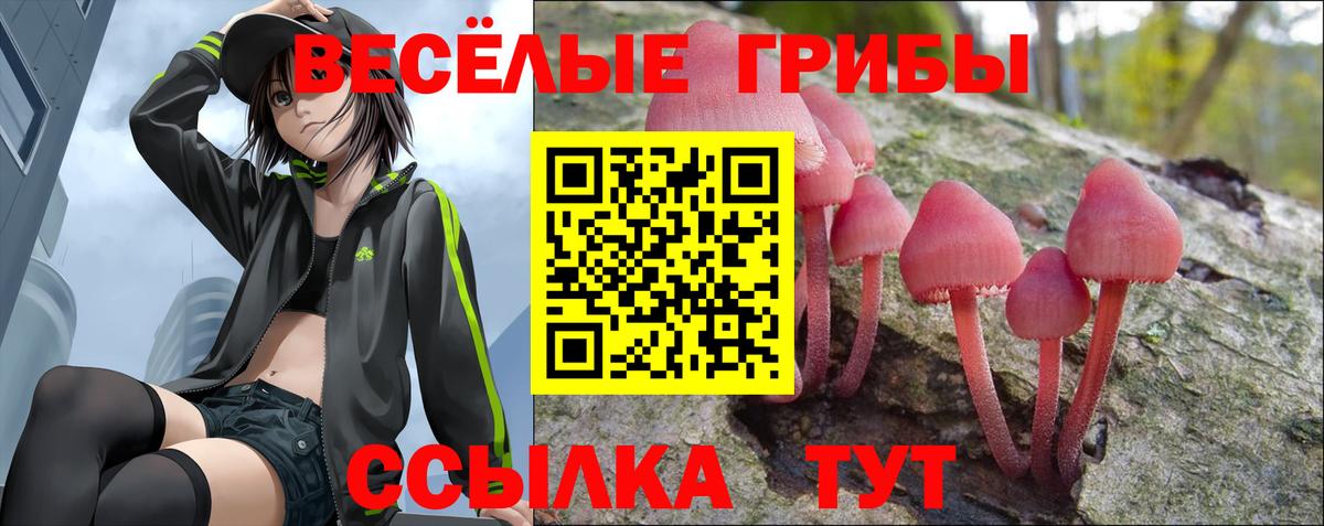Зерноград  Галлюциногенные грибы прущие грибы  Вход с VPN 
