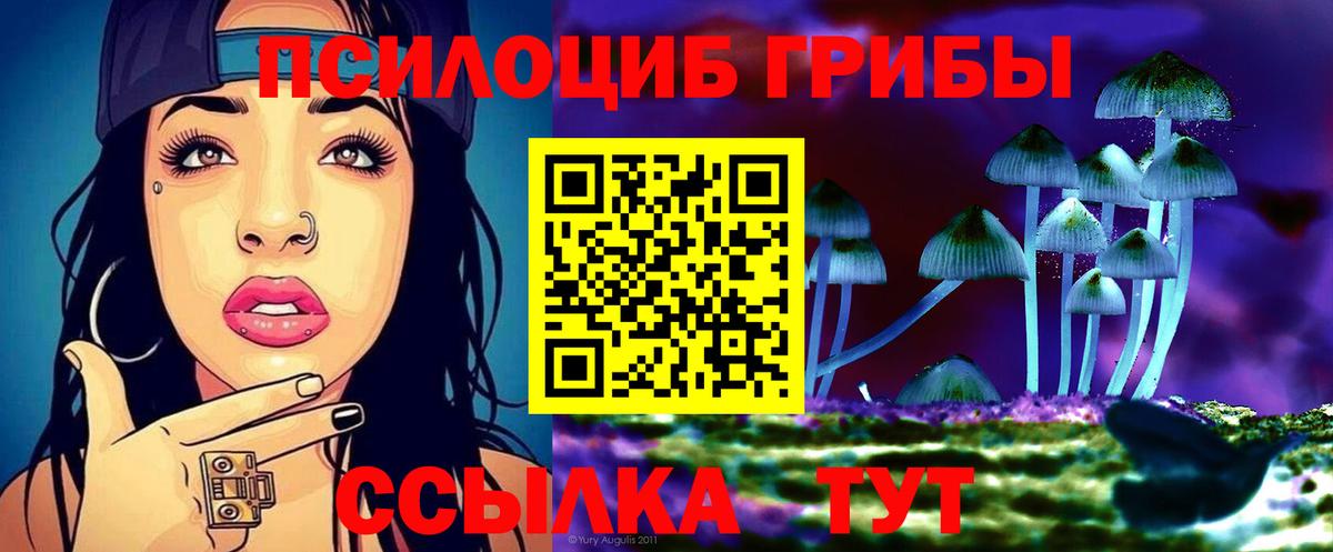 Галлюциногенные грибы MAGIC MUSHROOMS Зерноград