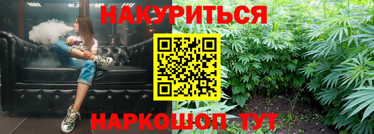 Канабис конопля Зерноград