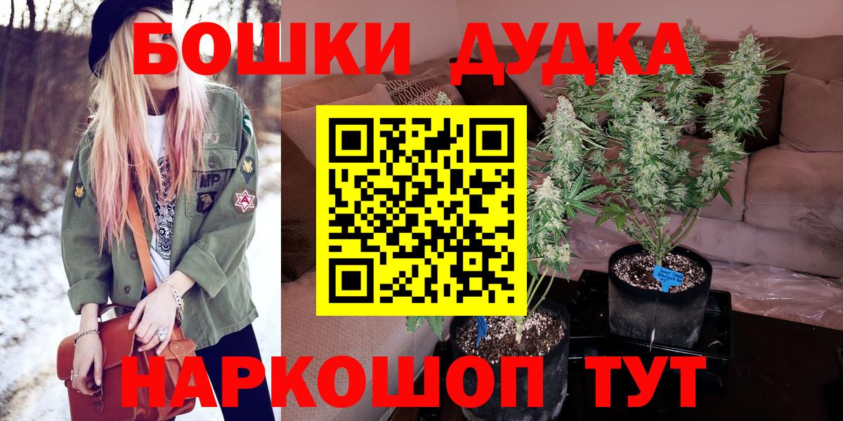 Каннабис семена  Марихуана Amnesia  Бошки Шишки гибрид  Вход с VPN  Зерноград  Каннабис Bruce Banner 